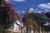Old_wall_from_Gethsemane LR.jpg