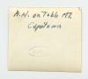 Arthur Howe, Jr. on top of Table Mountain in Cape Town, South Africa. CP Verso