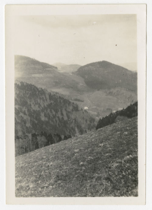 Landscape with mountains and trees
