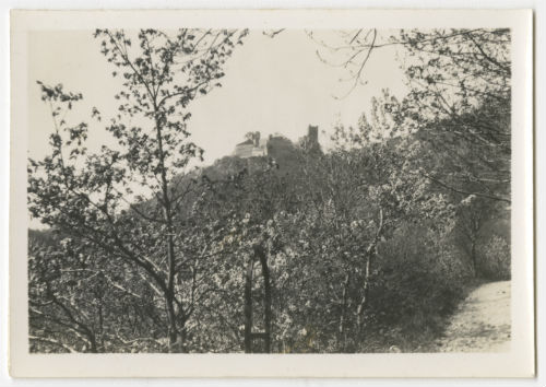 Landscape with trees and ruins