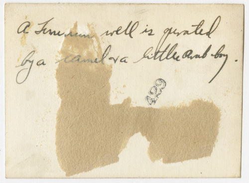 Primitive method of irrigation in Tunisia (1). Verso