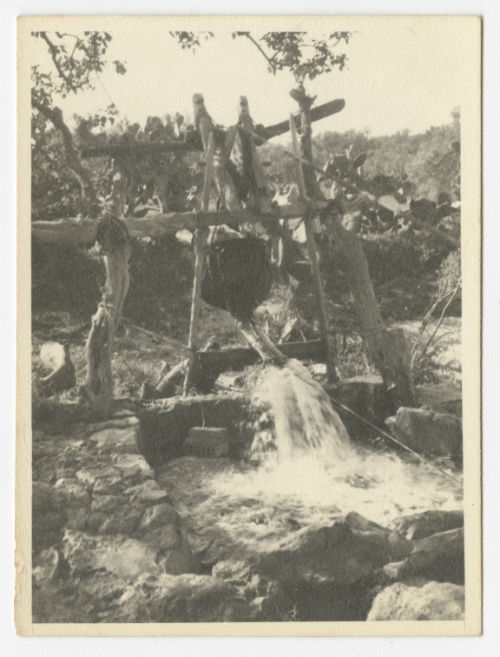 Primitive method of irrigation in Tunisia (2). Recto