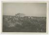 The headquarters lorry, Arthur Howe, Jr.'s staff car and a jeep parked in a field of flowers. Recto