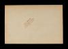 American Field Service ambulance 1072 with driver. Verso.