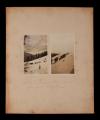 (Left) Mule convoy in Alsace, with trees (Right) Mule convoy in Alsace